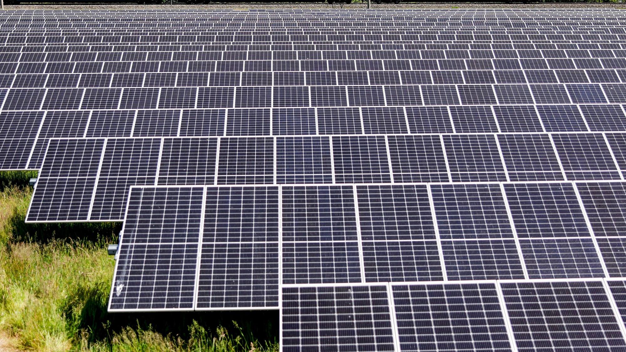 Reihen von Solaranlagen stehen auf einer Wiese.