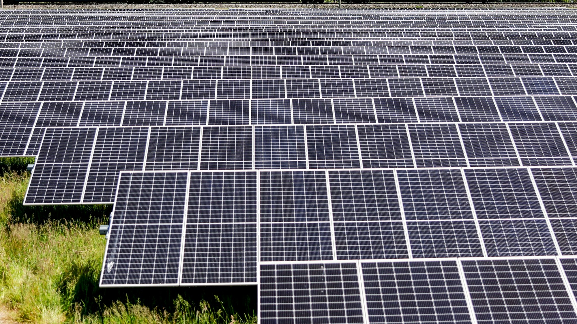 Reihen von Solaranlagen stehen auf einer Wiese.
