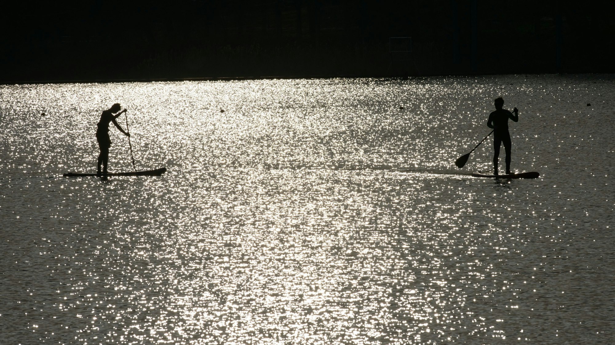 Zwei Männer fahren mit Stand-Up-Paddle-Board auf einem See. Die Sonne scheint auf die Wasseroberfläche.