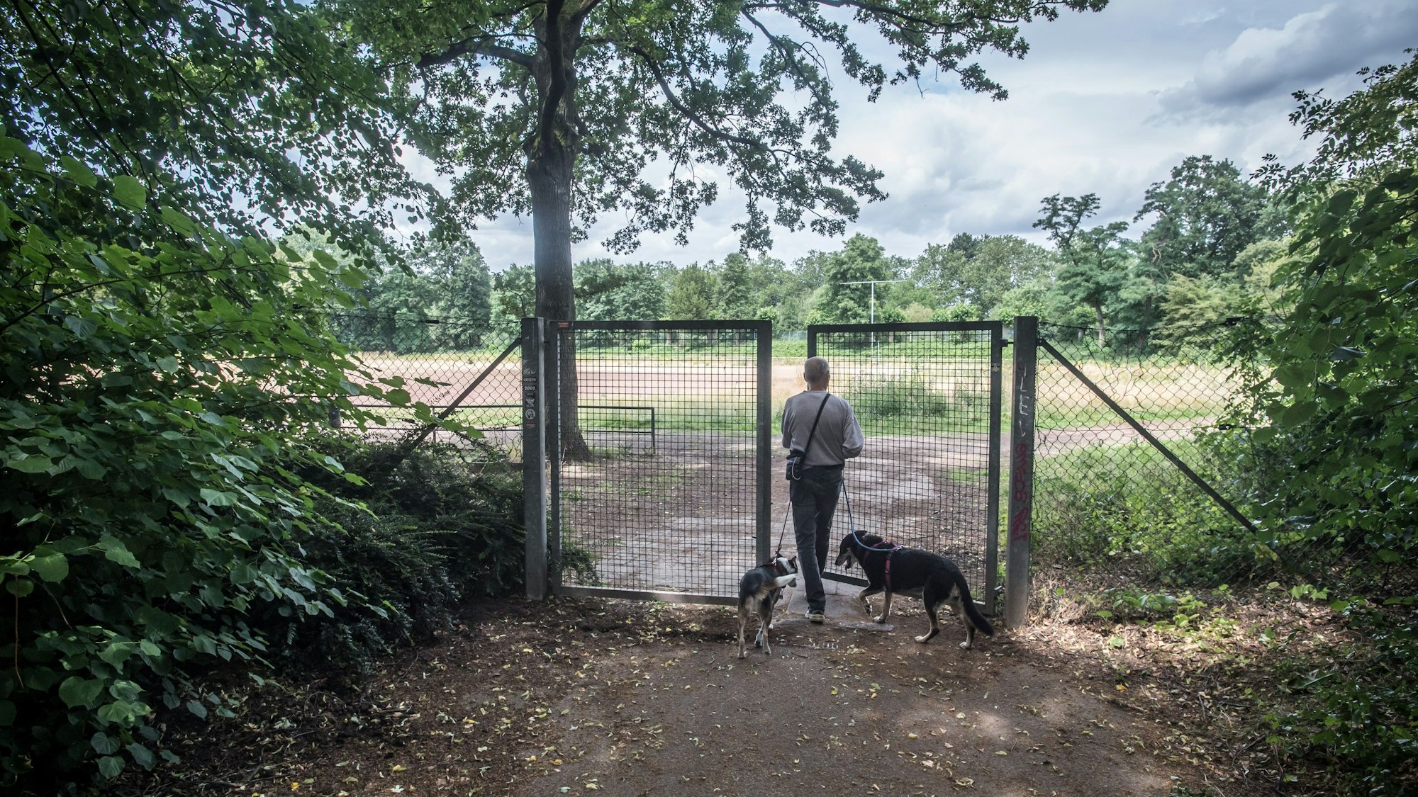 Alter BV-Platz im Stadtpark: Wird als Hundeplatz missbraucht