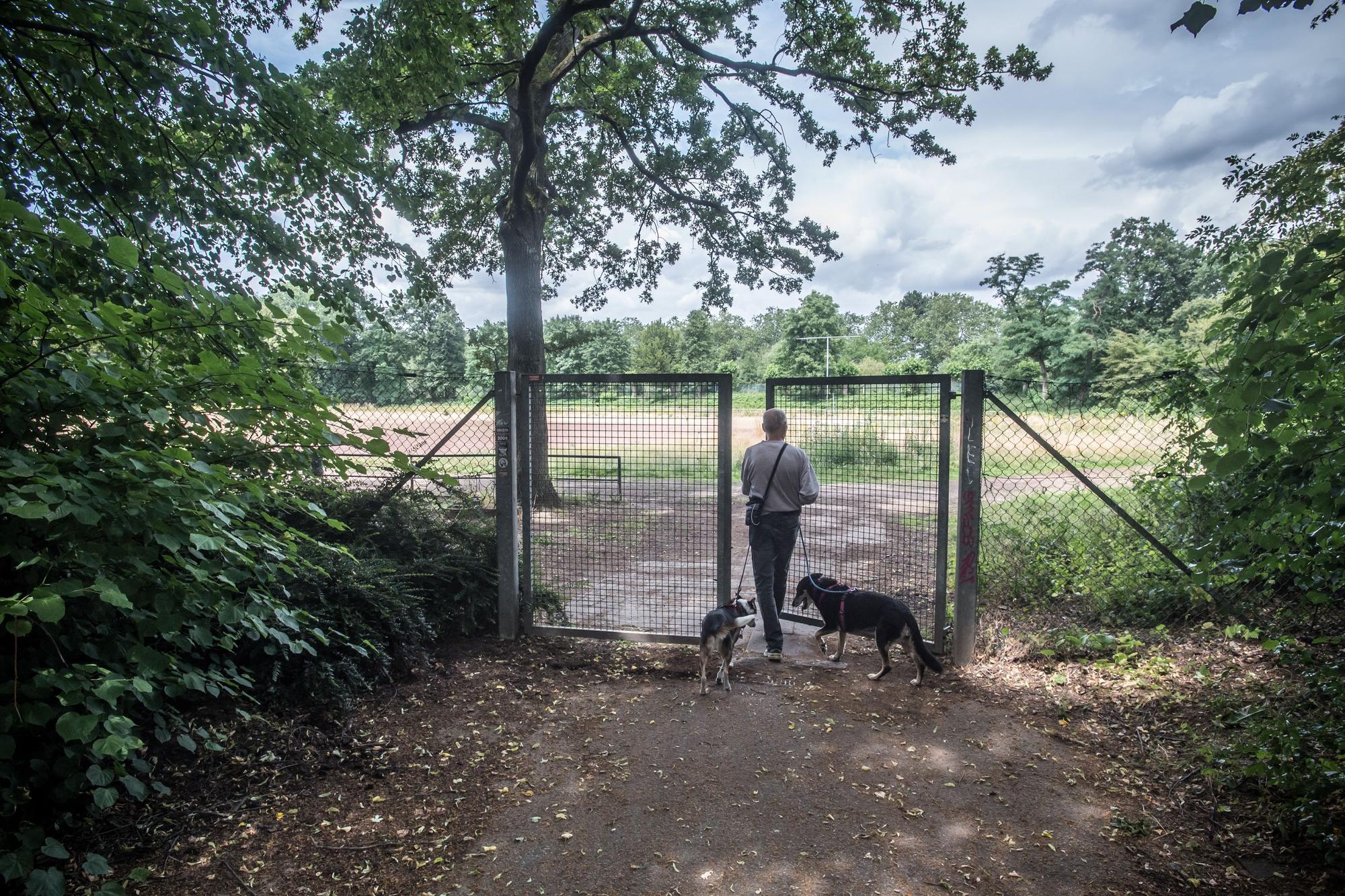 Alter BV-Platz im Stadtpark: Wird als Hundeplatz missbraucht. Foto: Ralf Krieger