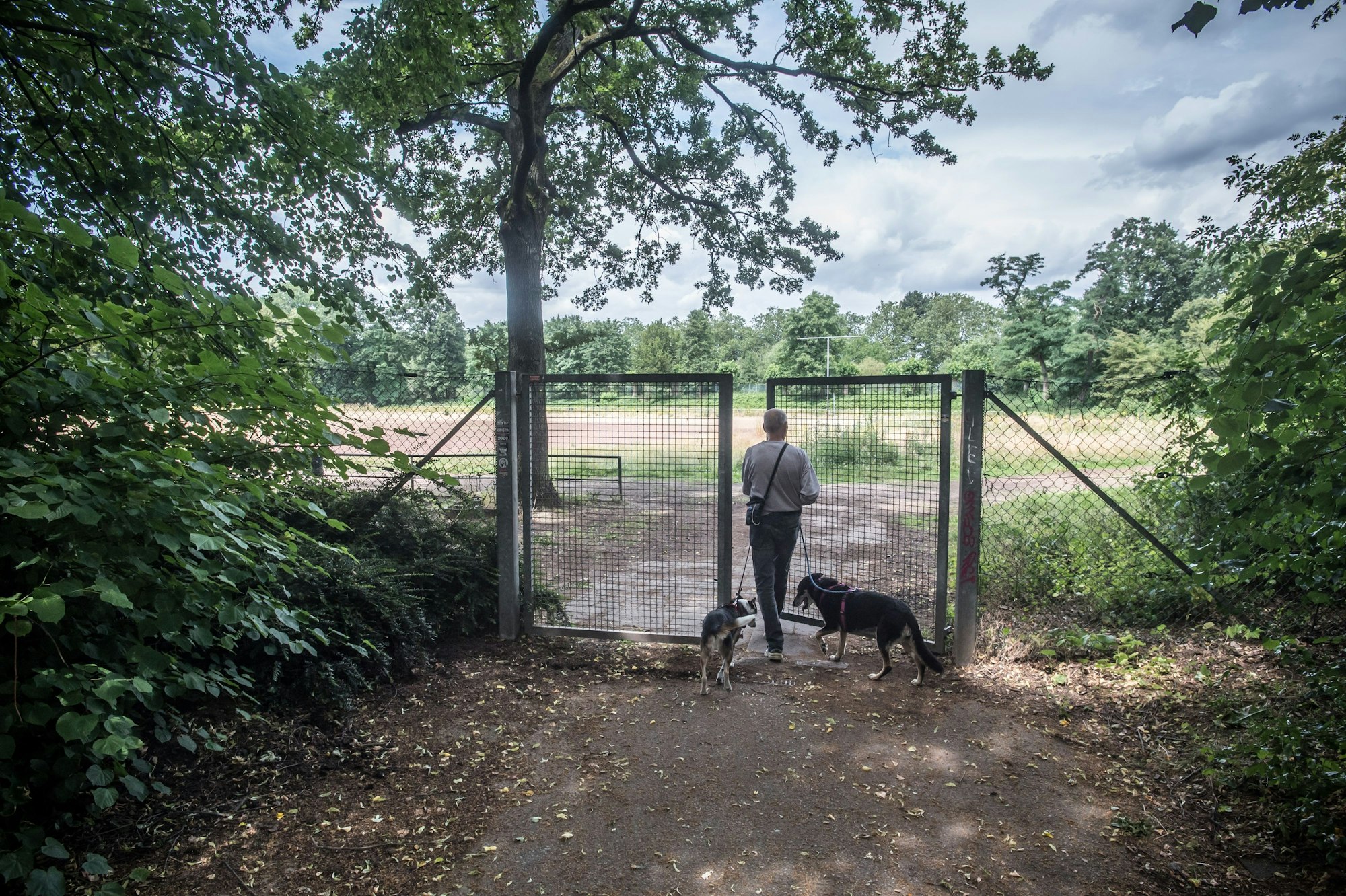 Alter BV-Platz im Stadtpark: Wird als Hundeplatz missbraucht. Foto: Ralf Krieger