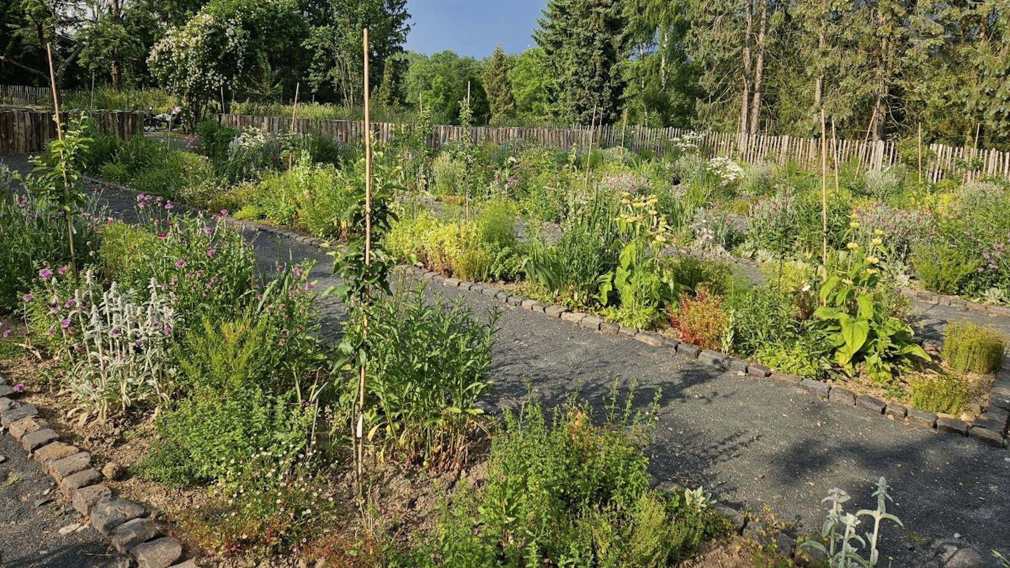 Reihen von Beeten mit Obstpflanzen blühen kräftig. Zwischen den Beeten führen Wege entlang der Pflanzen.