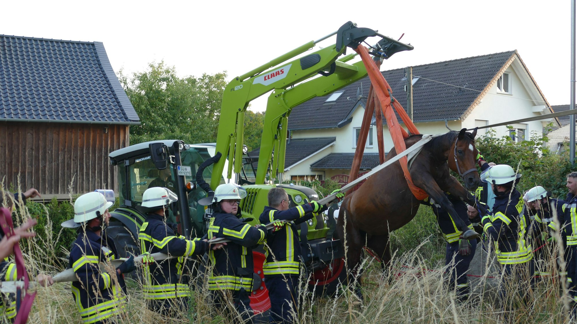 Ein Pferd hängt an einem Traktor.