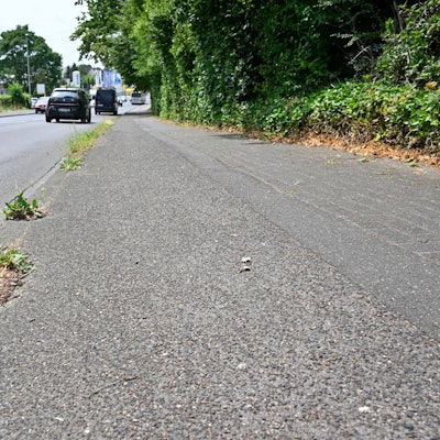 Unkraut wuchert auf dem Rad-Gehweg der Alten Wipperfürther Straße.