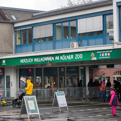 Der Eingang des Kölner Zoos. Menschen warten vor dem Eingang. (Symbolbild)