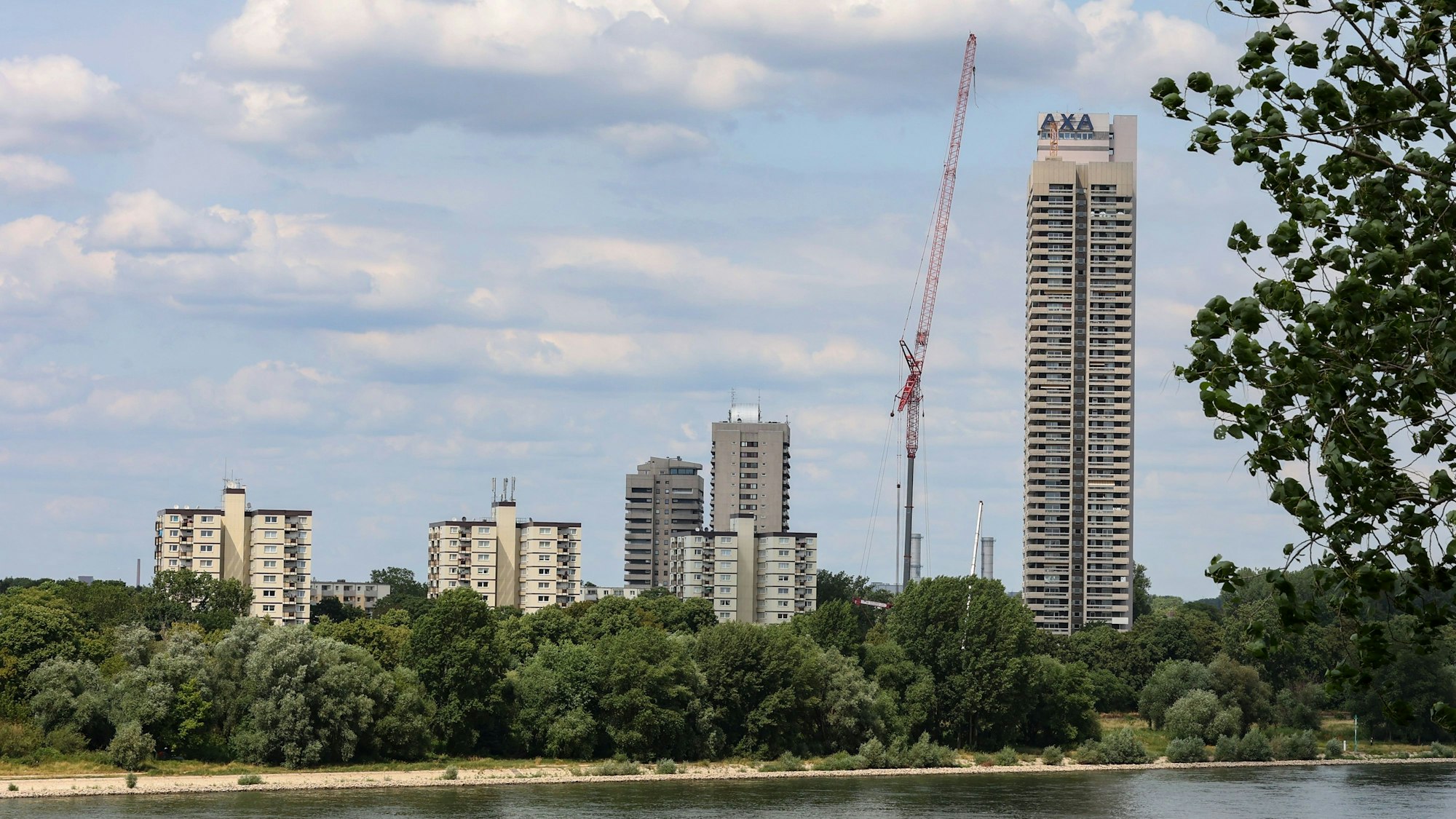 Zu sehen sind mehrere Häuser sowie ein Hochhaus und ein Kran am Rhein.