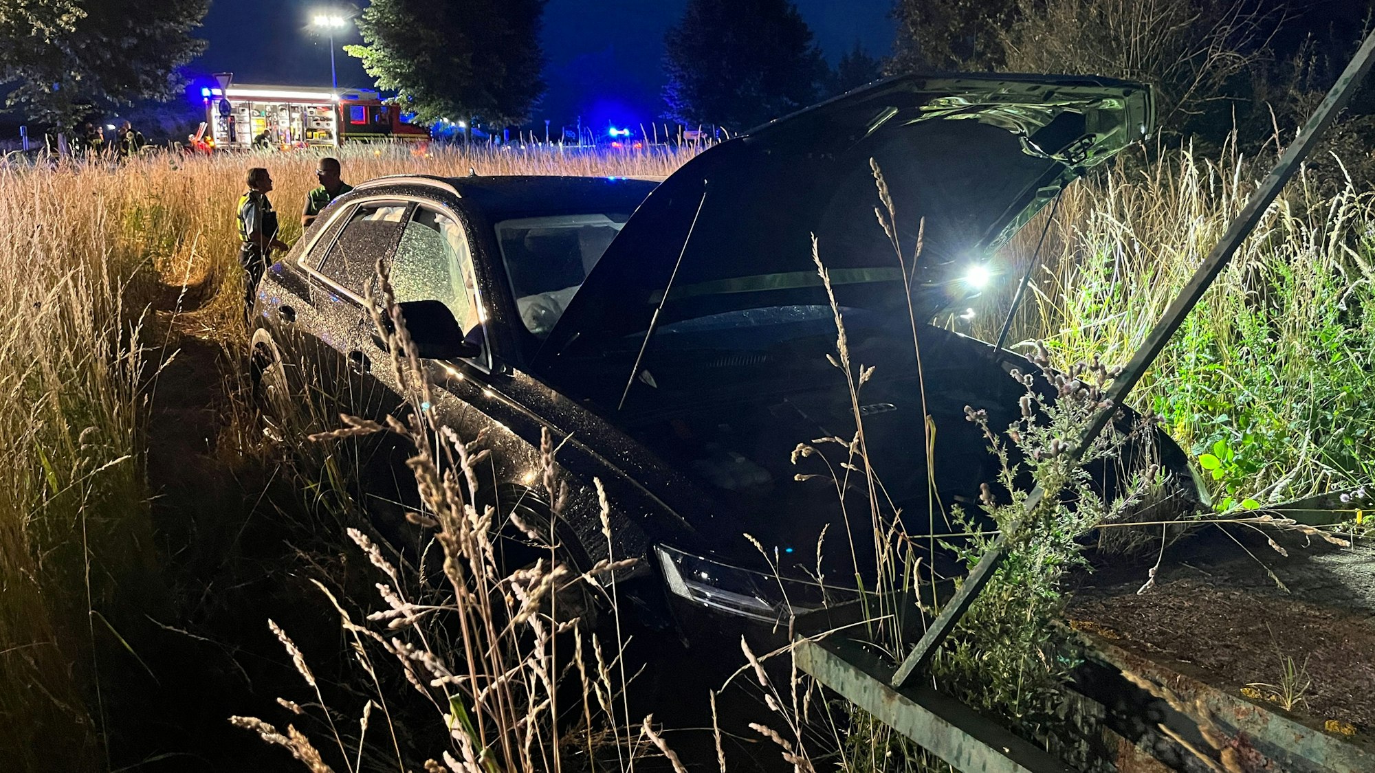 Ein Auto mit offener Motorhaube im hohen Gras. Davor das Heck eines landwirtschaftlichen Anhängers.