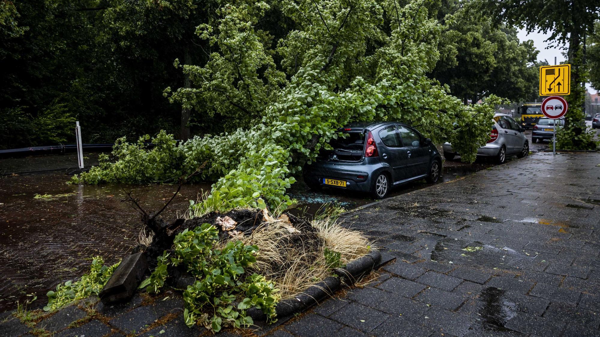 Sturm „Poly“ in den Niederlanden: Ein Baum ist umgestürzt auf ein Auto in Haarlem. Bei einem Baumsturz kam eine 51-Jährige ums Leben, es ist nicht gesichert, ob das Foto den tödlichen Vorfall zeigt.