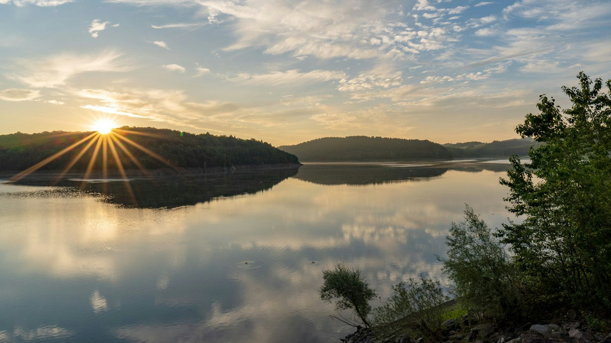 Die Sonne steht über den Bäumen am Ufer der Großen Dhünn-Talsperre.