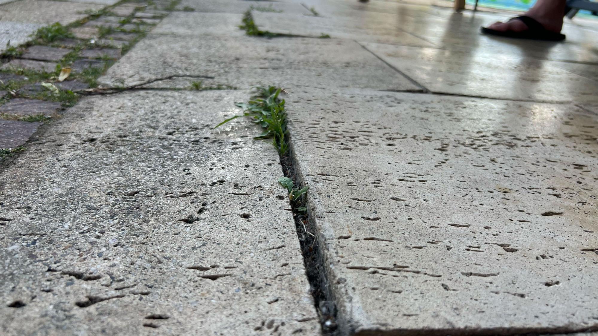Steine auf einer Terrasse haben sich nach oben geschoben.