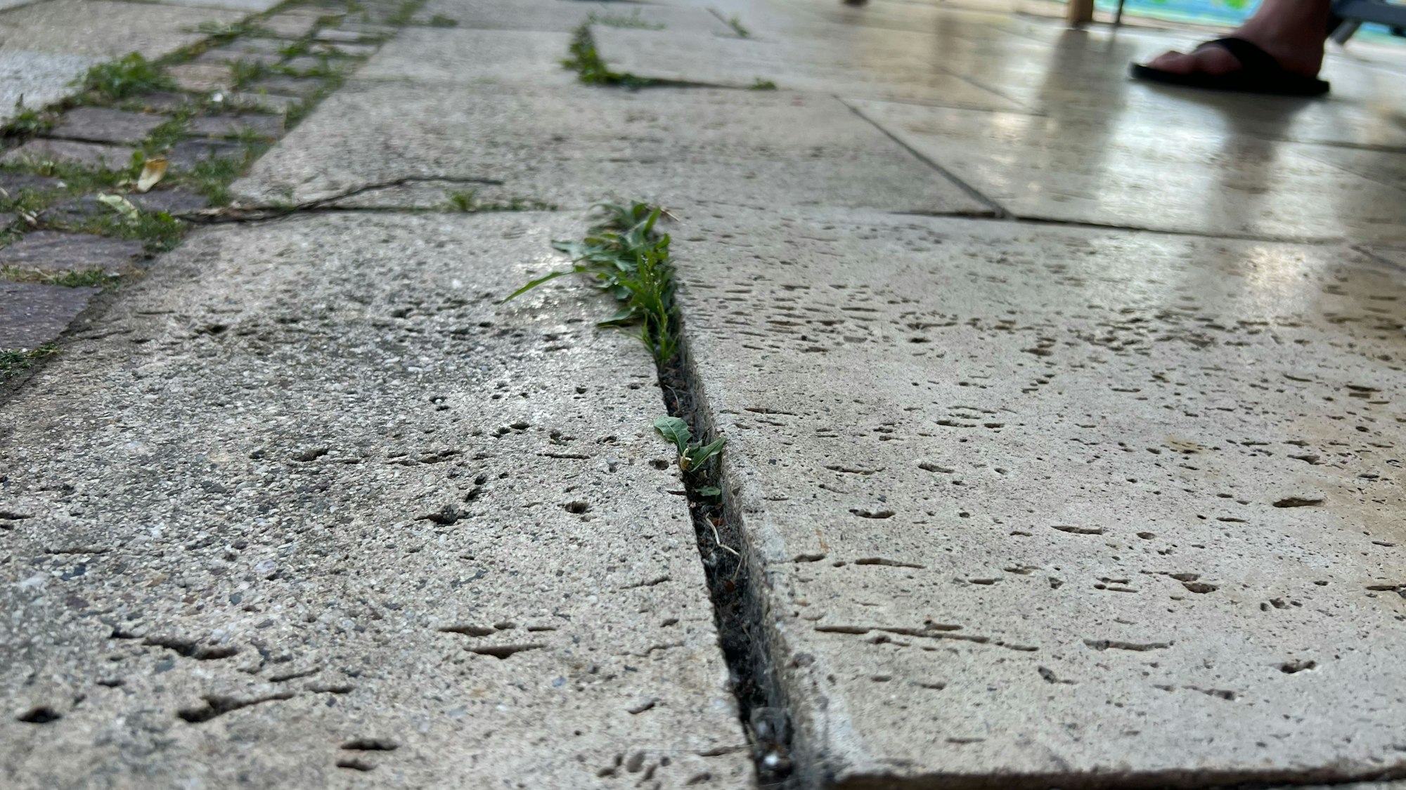 Steine auf einer Terrasse haben sich nach oben geschoben.