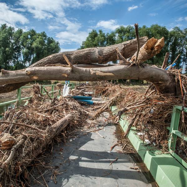 Nach dem Hochwasser 2021 sah es auf der Pontonbrücke in Rheindorf ziemlich unaufgeräumt aus.