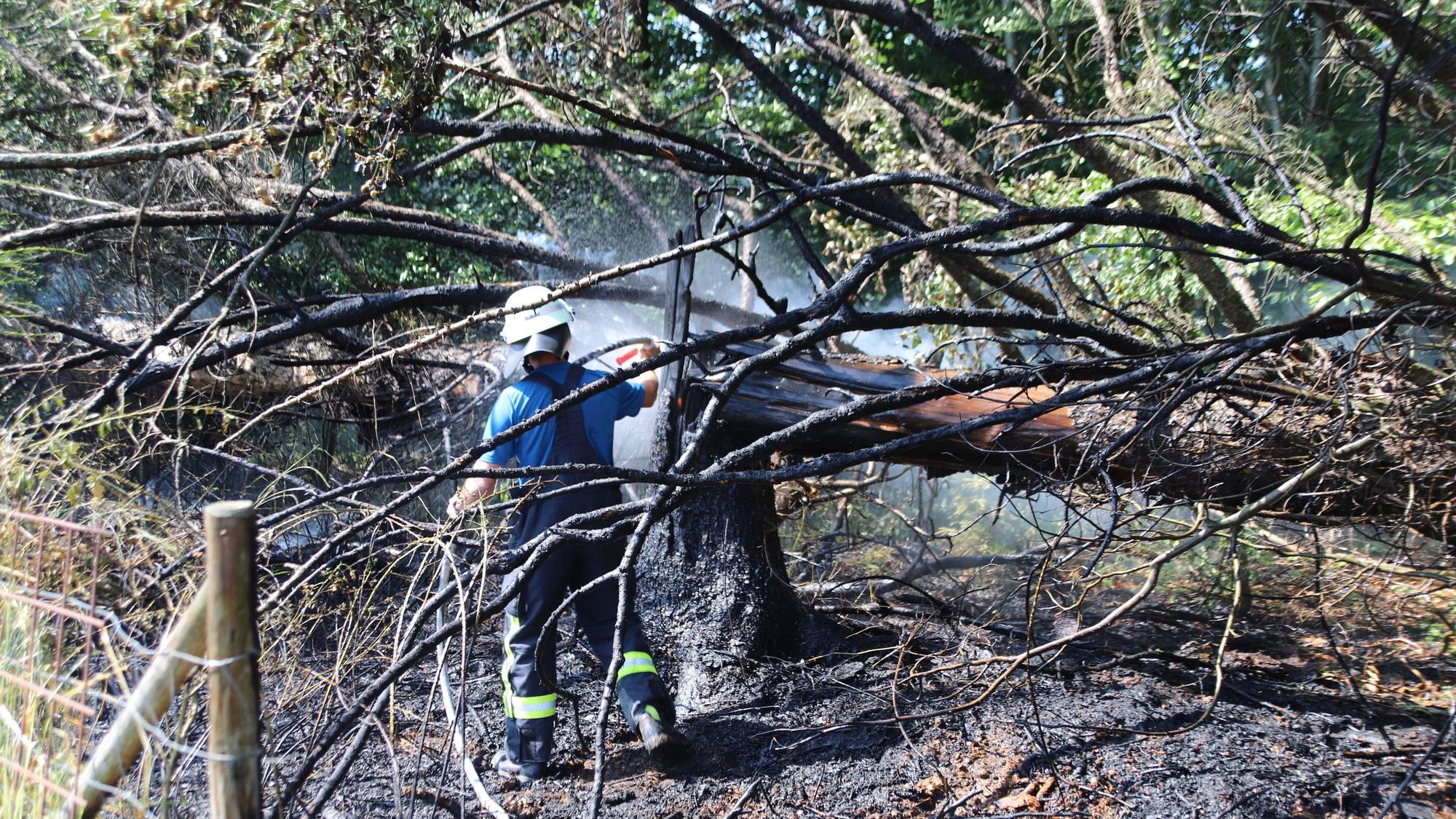 Feuerwehrleute löschen einen Brand.