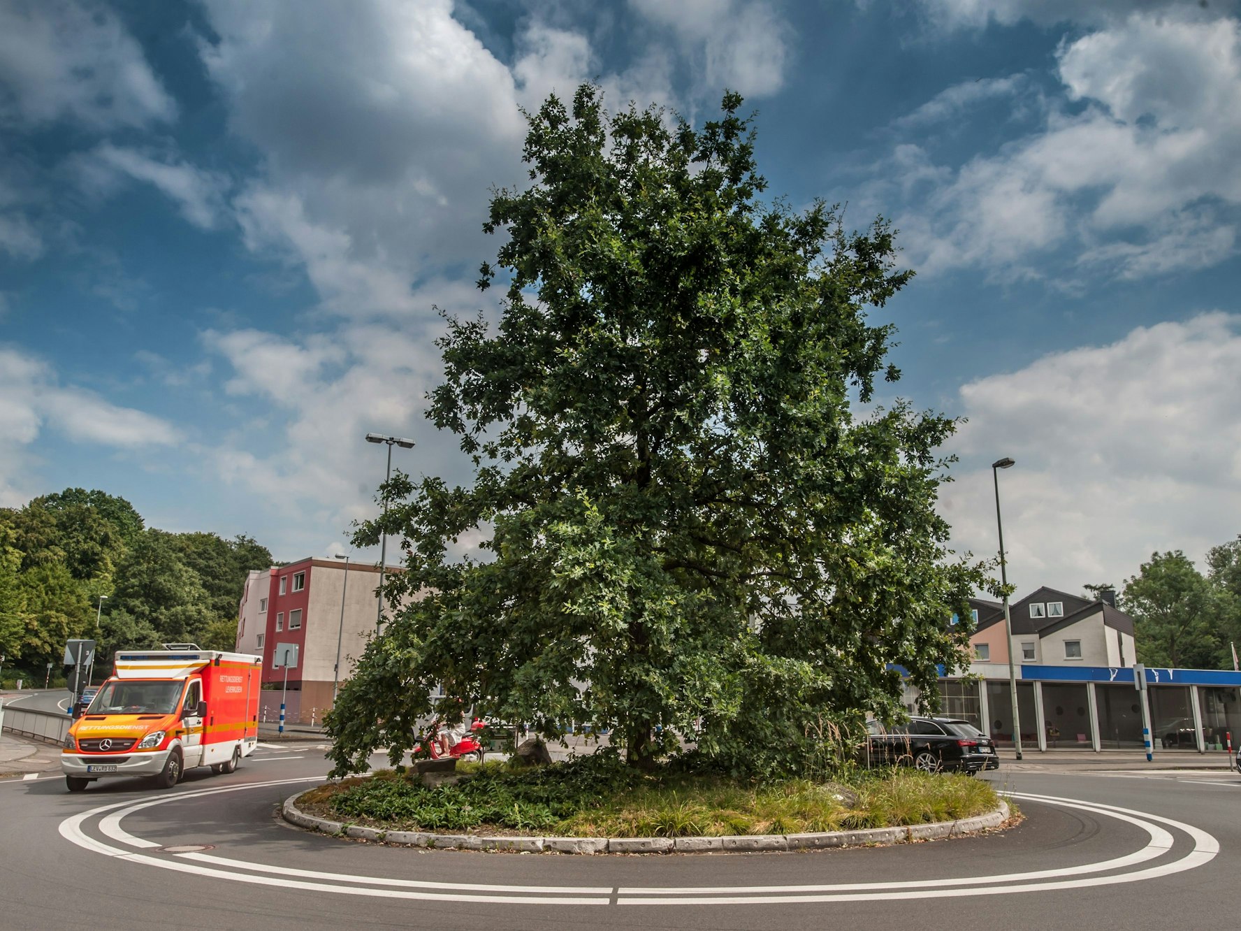 Der Kreisverkehr am Knoten Rennbaumstraße Stauffenbergstraße mit der Milleniumseiche im Juli 2018