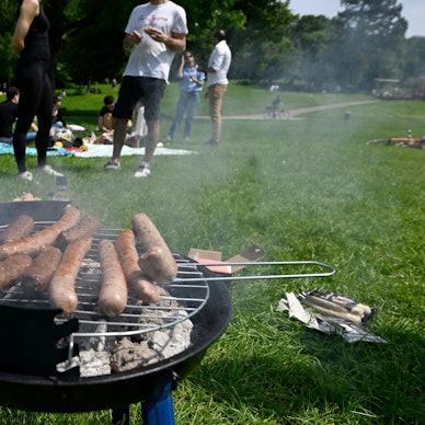In einem Park hat eine Gruppe Menschen einen kleinen Grill aufgebaut, darauf liegt Grillgut.