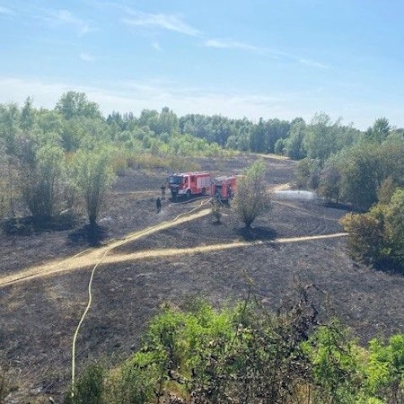 Auf dem Feldstück in Köln-Weidenpesch ist nach dem Brand nicht viel stehengeblieben. Die Kölner Feuerwehr hat verhindert, dass sich das Feuer auf angrenzende Bäume ausbreitet.