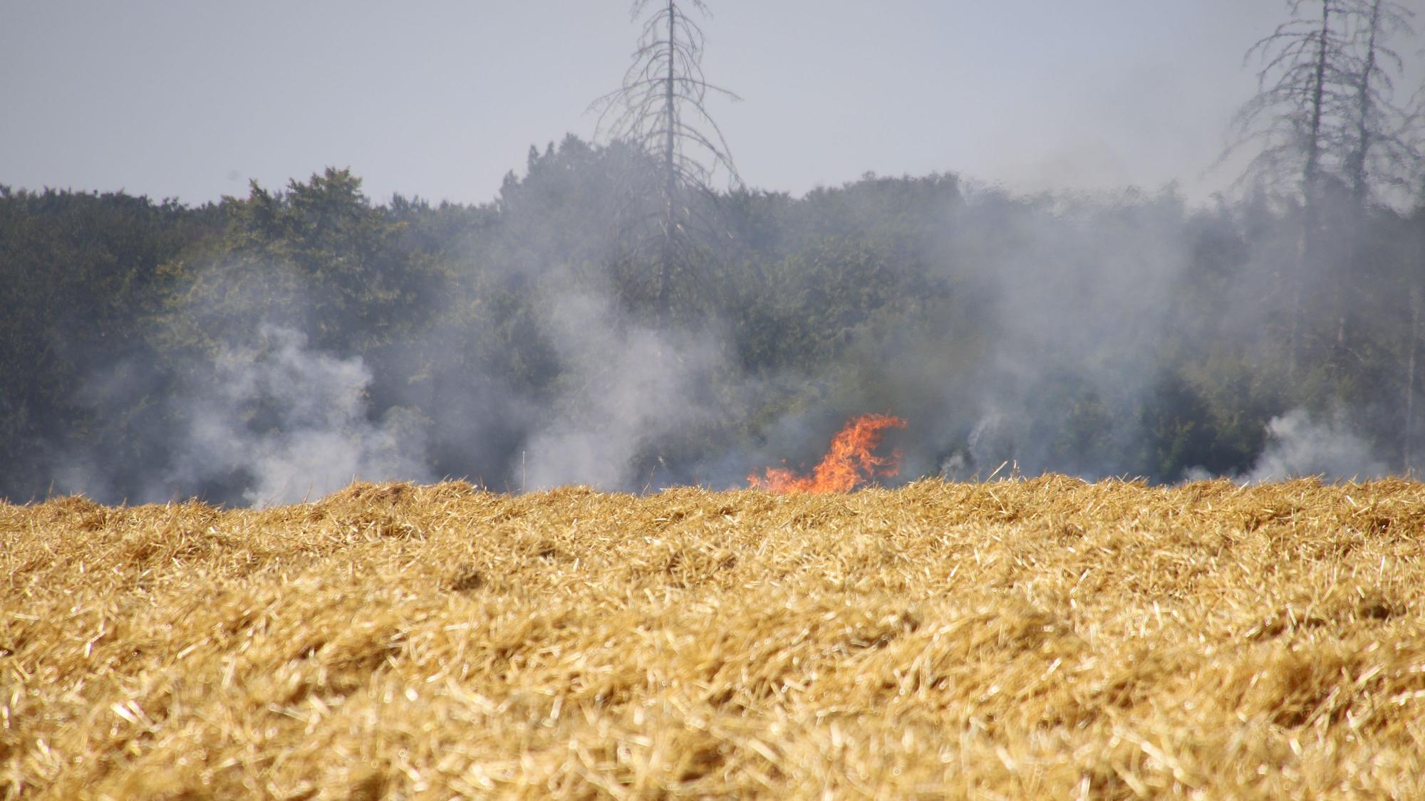 Ein Feld brennt. Flammen lodern.