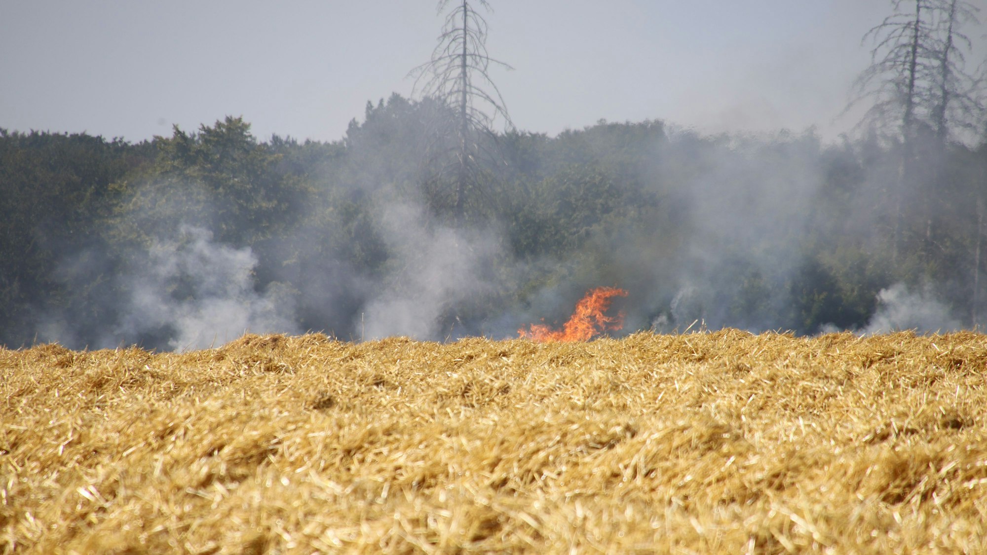 Ein Feld brennt. Flammen lodern.