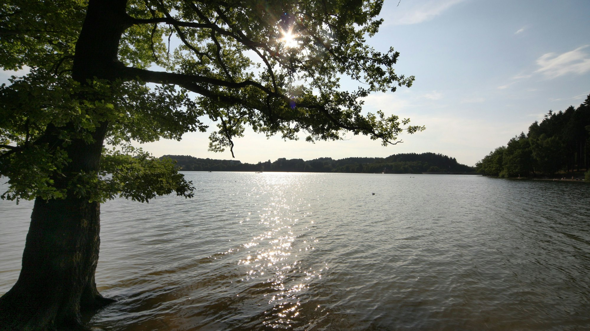 Blick gegen die Nachmittagssonne über die Brucher Talsperre bei Marienheide.