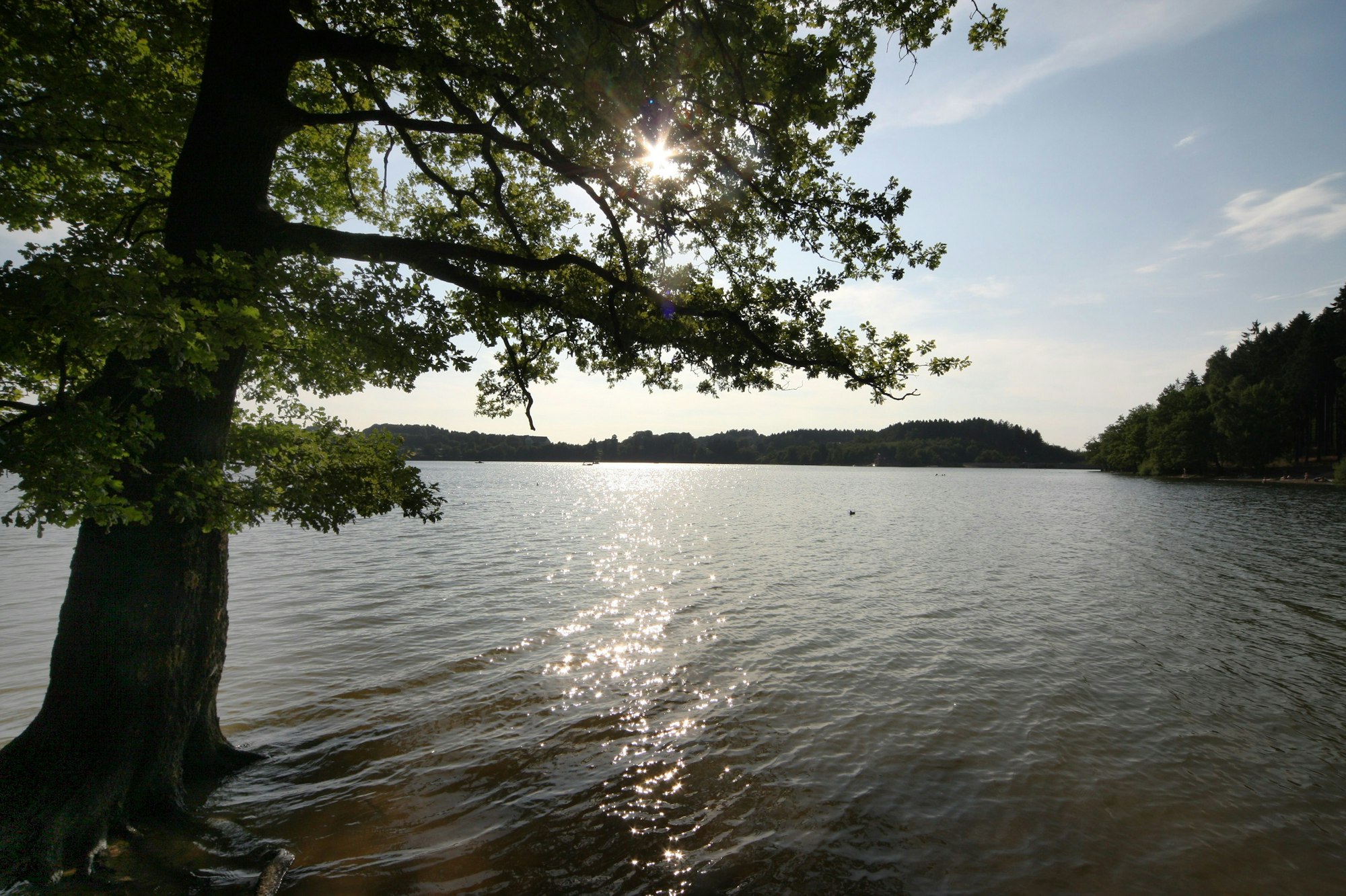 Das Foto zeigt die Wasserfläche und das Ufer der Bruchertalsperre