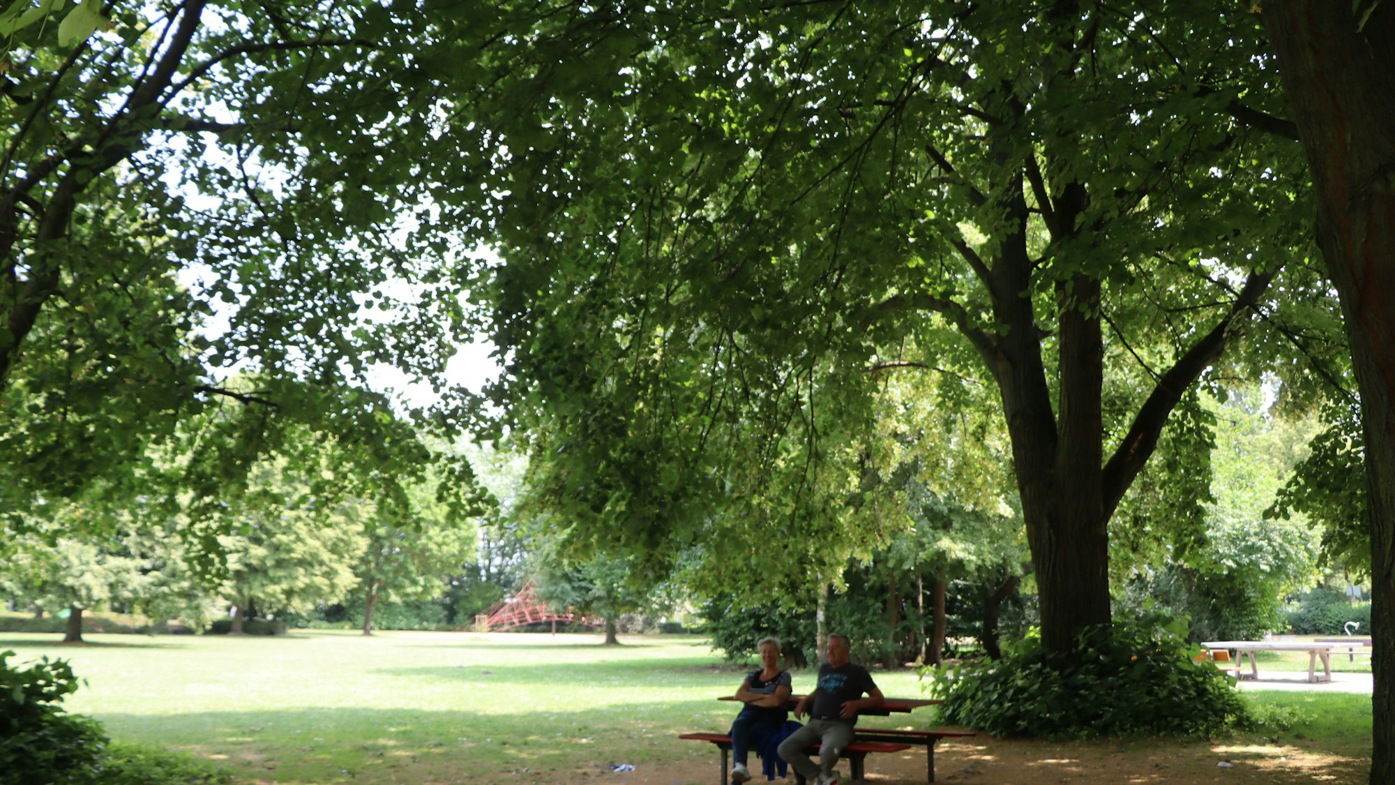 Zwei Spaziergänger sitzen unter einem der riesigen Bäume, die auf dem Baumlehrpfad stehen.