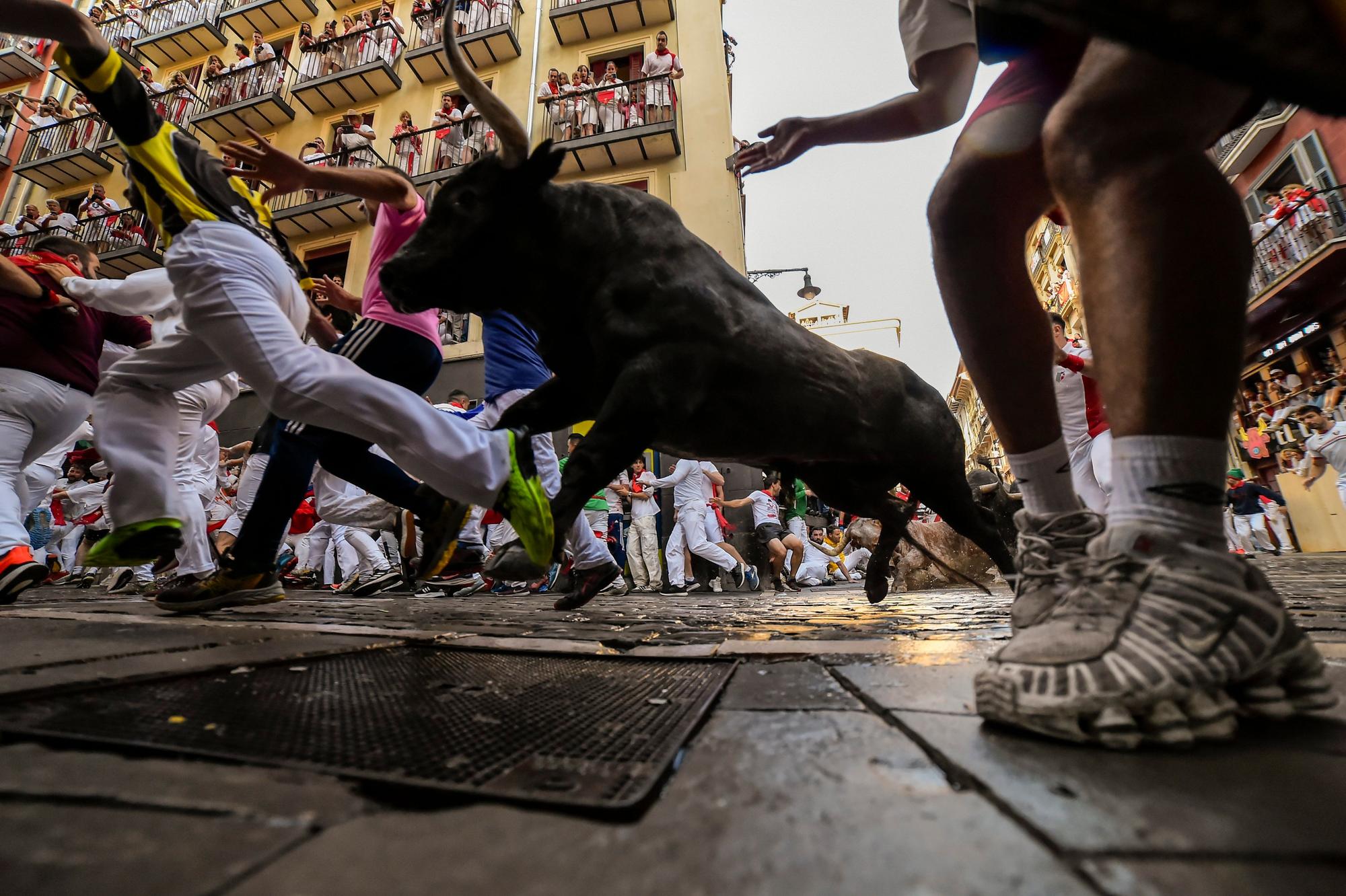 Die Kampfstiere von Jose Escolar Gil laufen während des zweiten Tages des Stiertreibens während des „Sanfermines“-Festes in Pamplona, Spanien, am Samstag, 8. Juli 2023, zwischen den Feiernden umher.