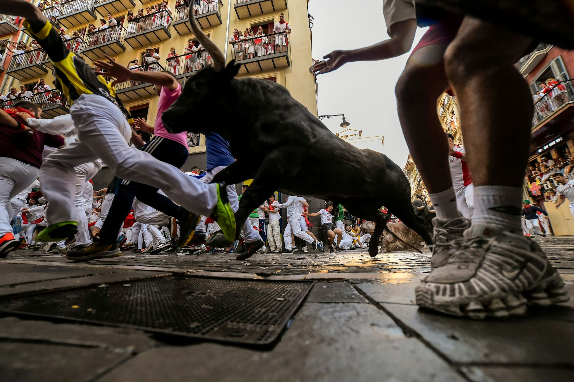 Die Kampfstiere von Jose Escolar Gil laufen während des zweiten Tages des Stiertreibens während des „Sanfermines“-Festes in Pamplona, Spanien, am Samstag, 8. Juli 2023, zwischen den Feiernden umher.