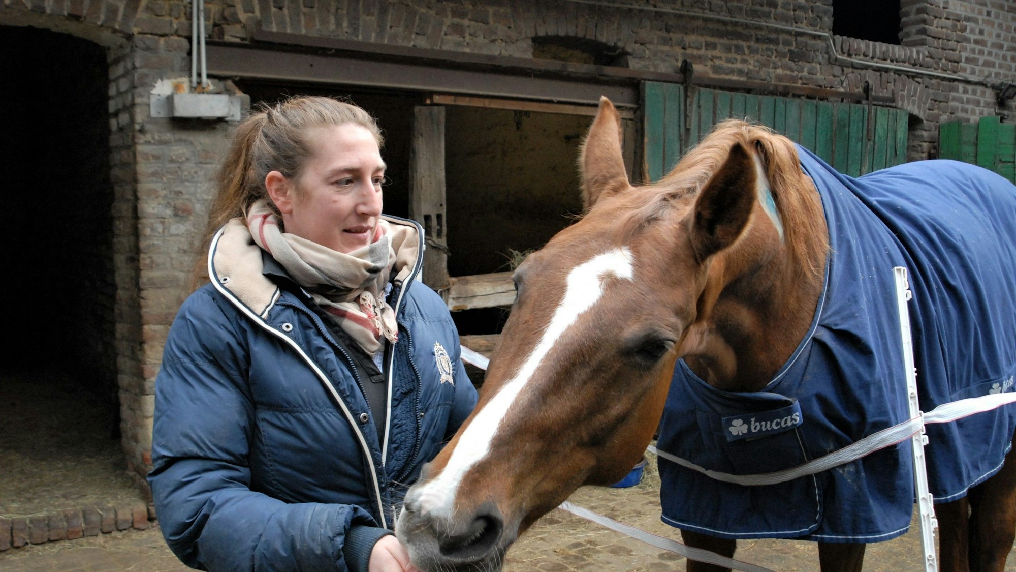 Besitzerin Sarah A. streichelt ihr Pferd.