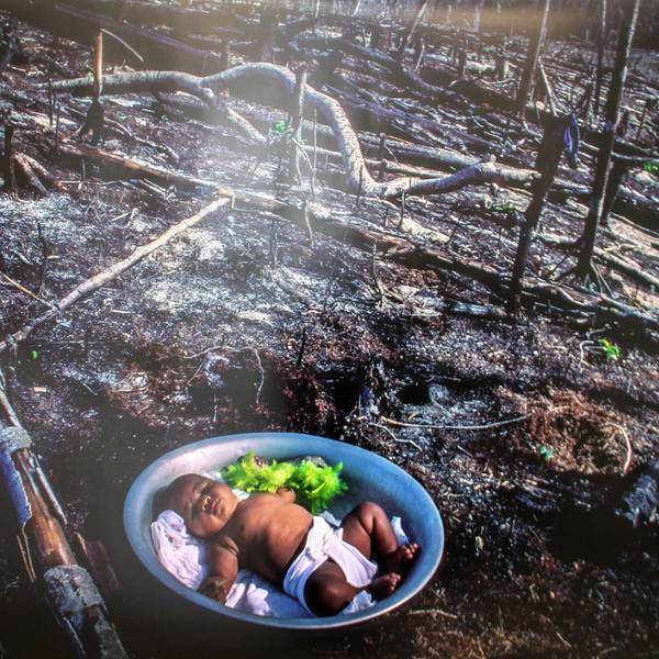 Ein dunkelhäutiges Baby schläft in einer Schale, in der auch Gemüse liegt. Um das Kind herum ist ein frisch brandgerodeter Wald zu sehen.