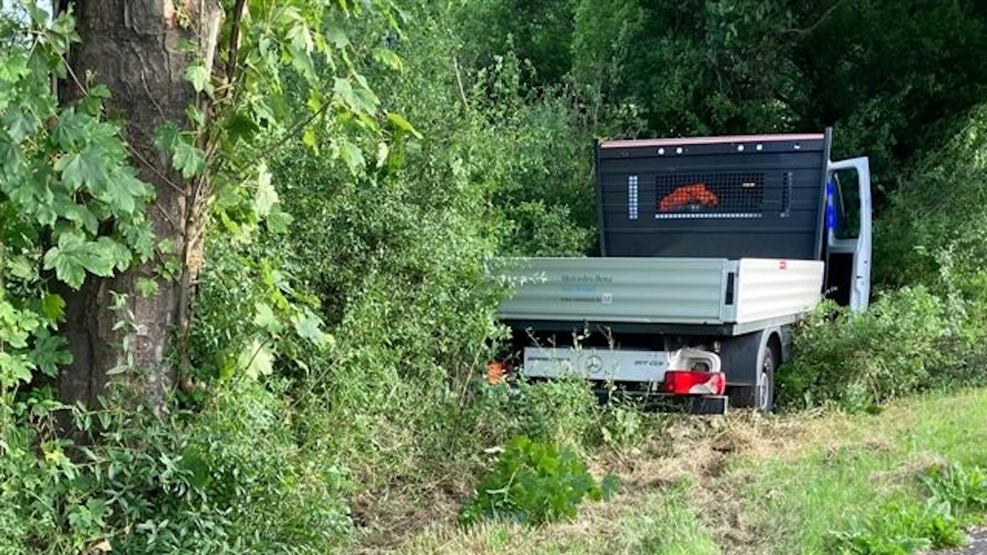 Lkw landete nach einem Unfall am Samstagmorgen an einem Baum in Marienheide-Kalsbach.