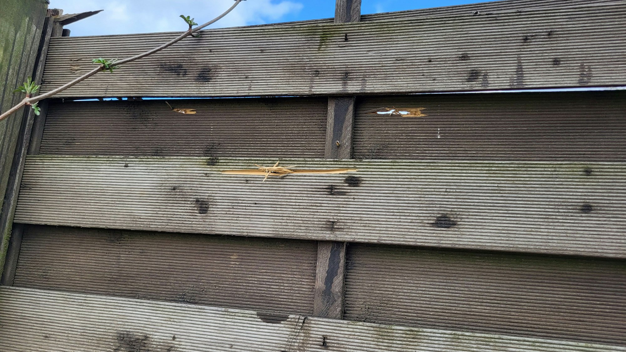 Einschusslöcher im Holzzaun