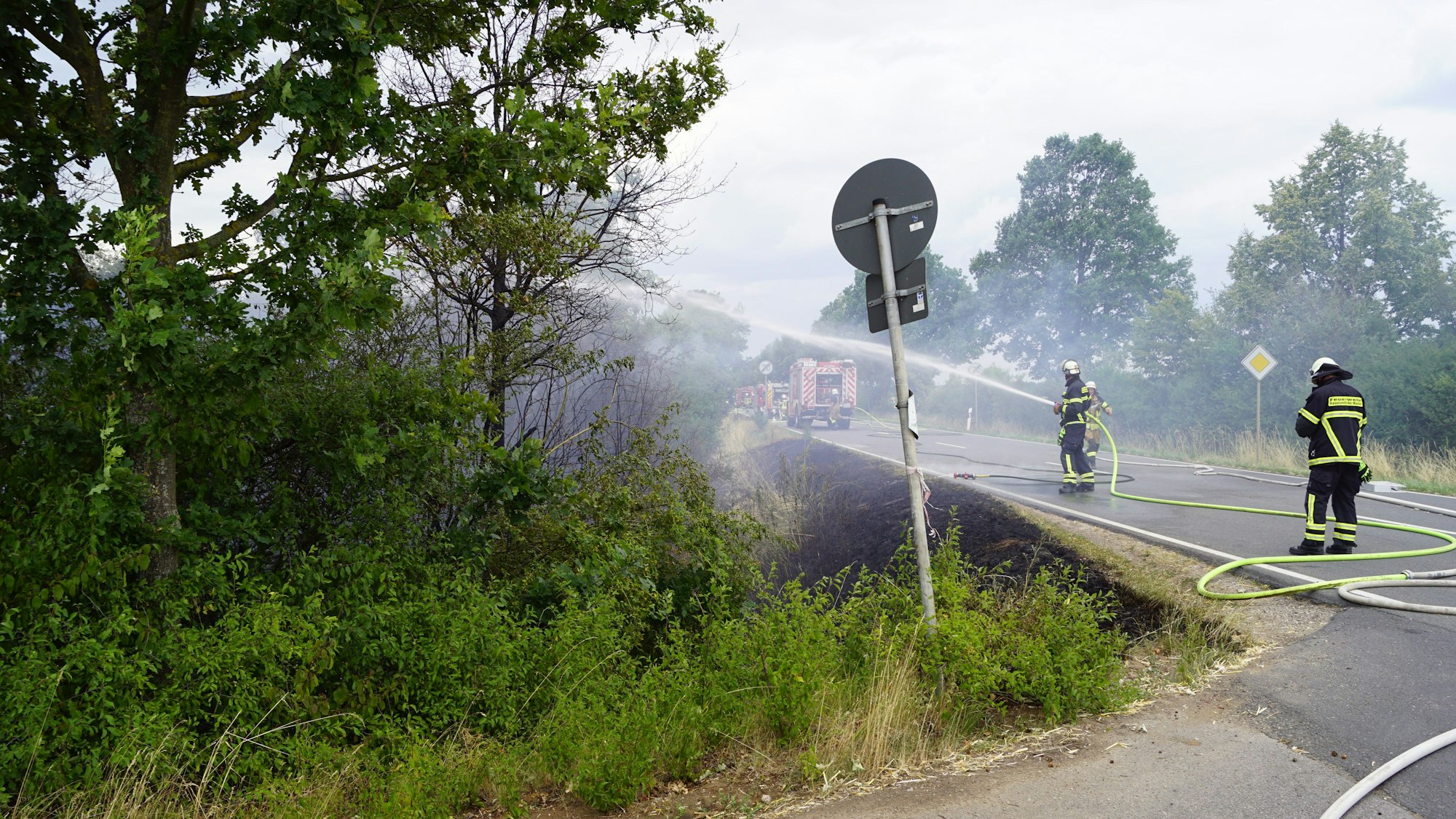 Feuerwehrleute halten mit ihren Strahlrohren ins brennende Buschwerk neben der Straße.