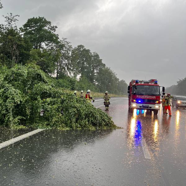 Ein im Gewitter umgeknickter Baum gefährdete den Verkehr auf der A1.