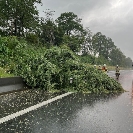 Ein im Gewitter umgeknickter Baum gefährdete den Verkehr auf der A1.