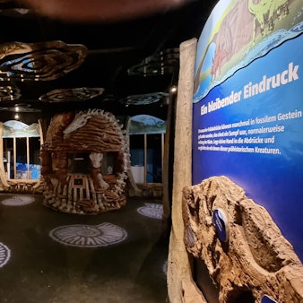 In dem ehemaligen Aquarium stehen und hängen noch Kulissen und Deko-Elemente.