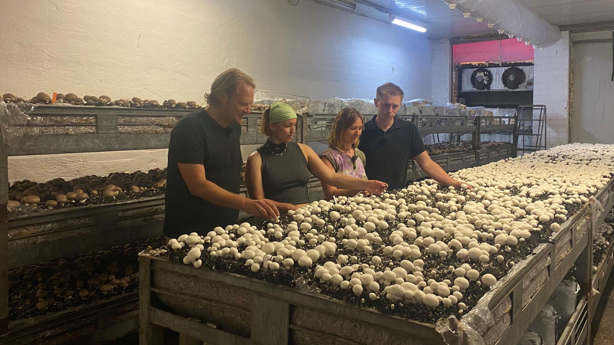 Björn Freitag, Lea, Joelle und Tim Marseille probierten einige Pilze bereits roh.