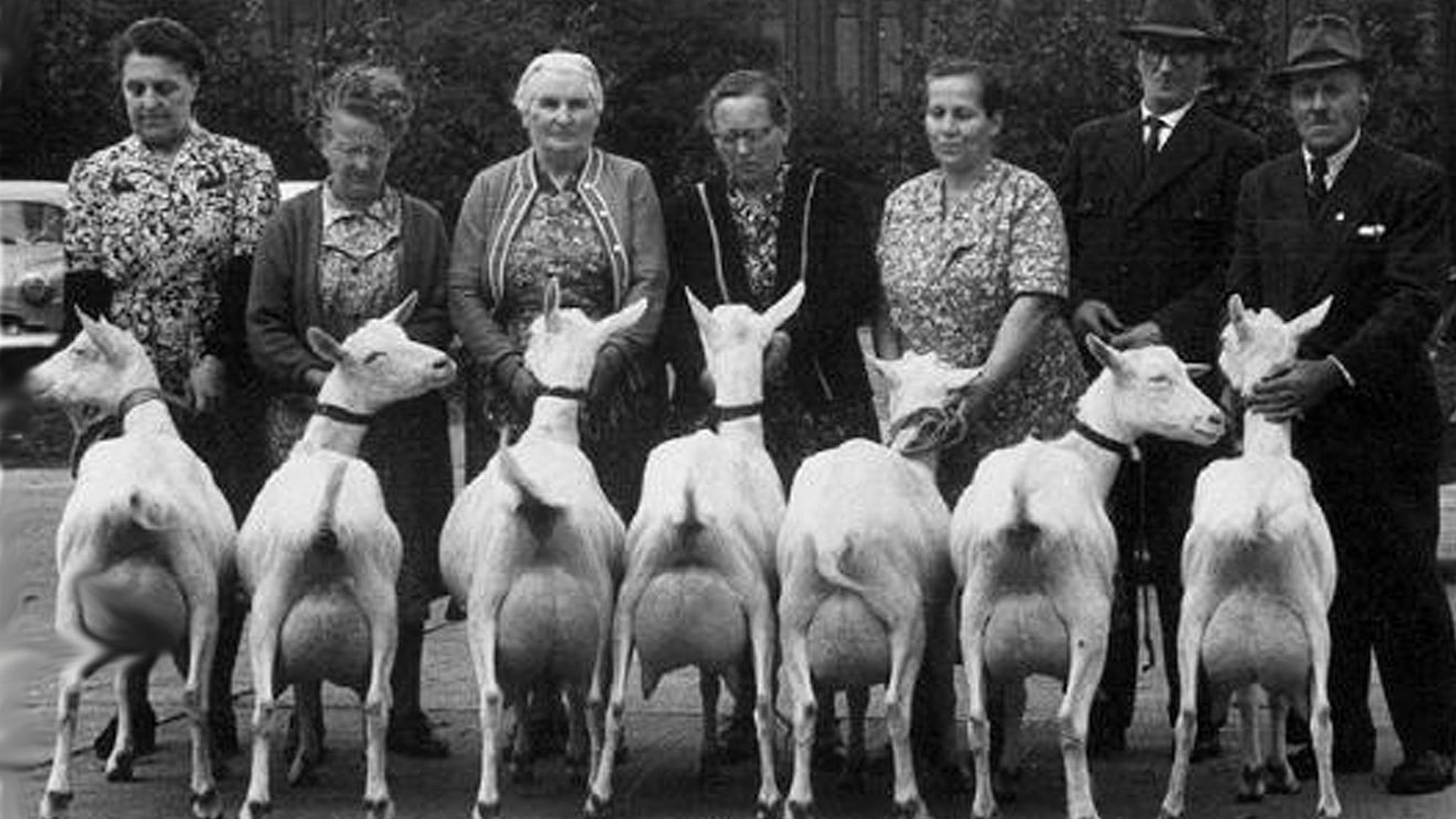Frauen und Männer stehen mit Ziegen auf einer Straße.