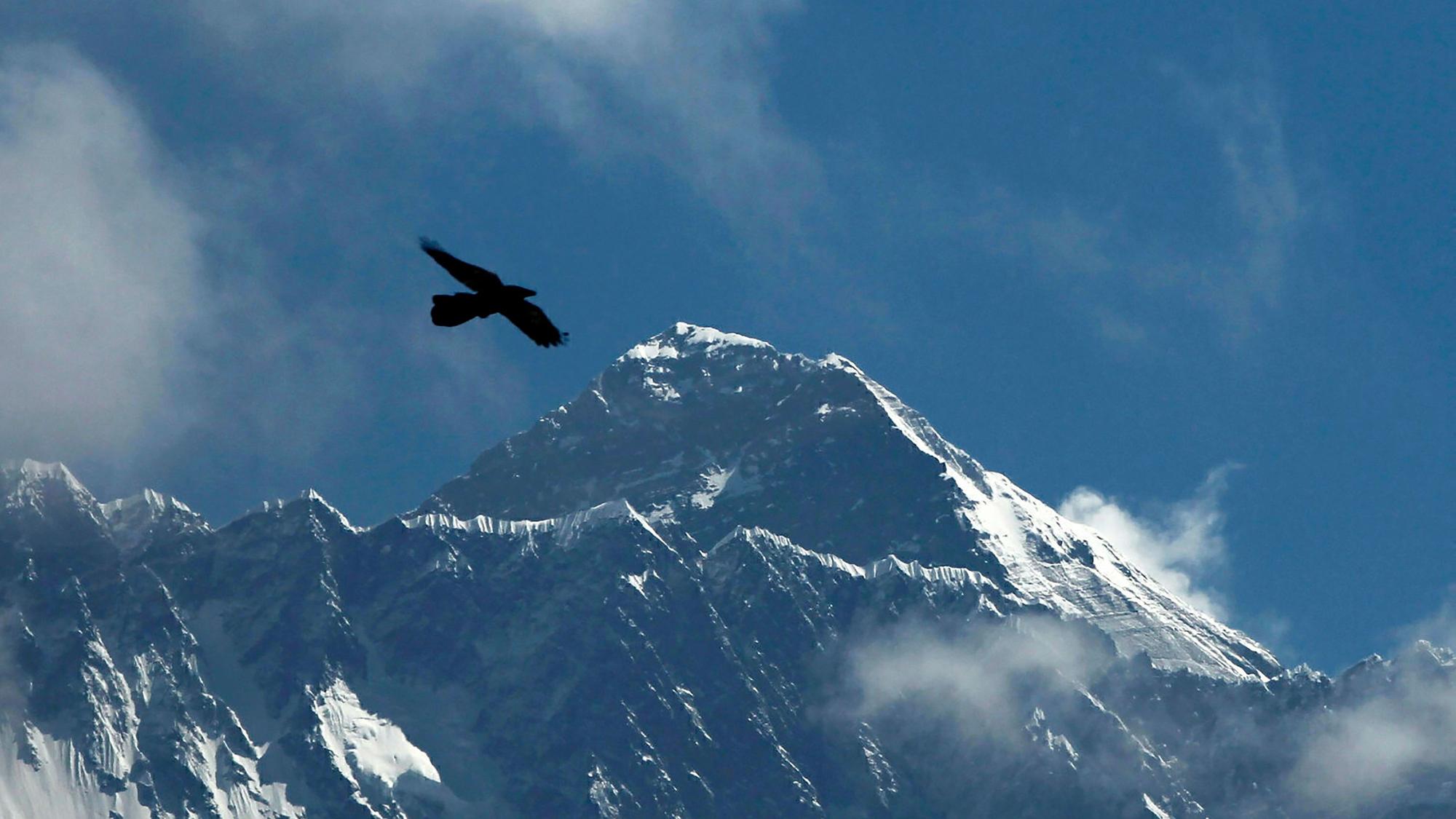 Ein Adler fliegt vor em Hintergrund des Mount Everest.