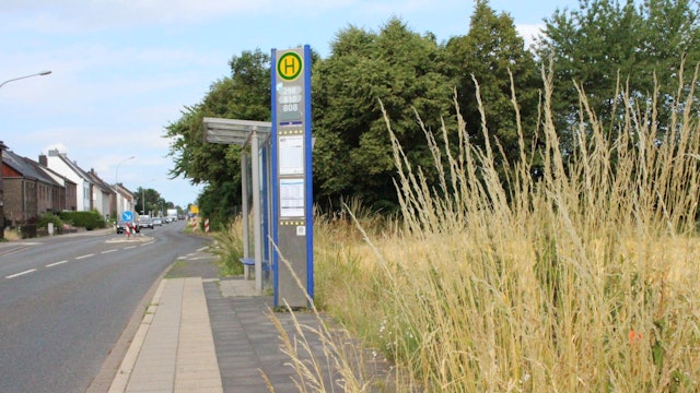 Das Bild zeigt eine Haltestelle am Straßenrand. Rechts ist eine Wiese mit hohen Gräsern, links eine Straße und eine Häuserzeile.