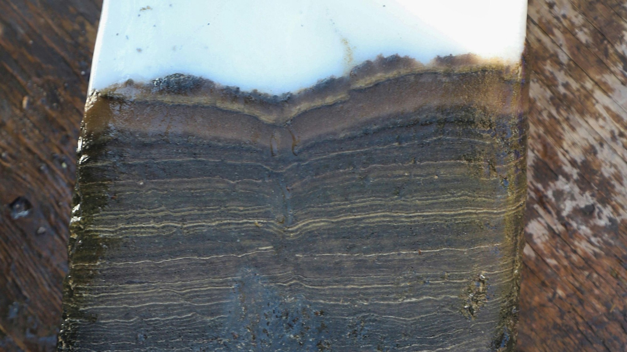 Der Bohrkern zeigt durch saisonale Ablagerungen auf dem Seeboden sichtbare Jahreslinien.