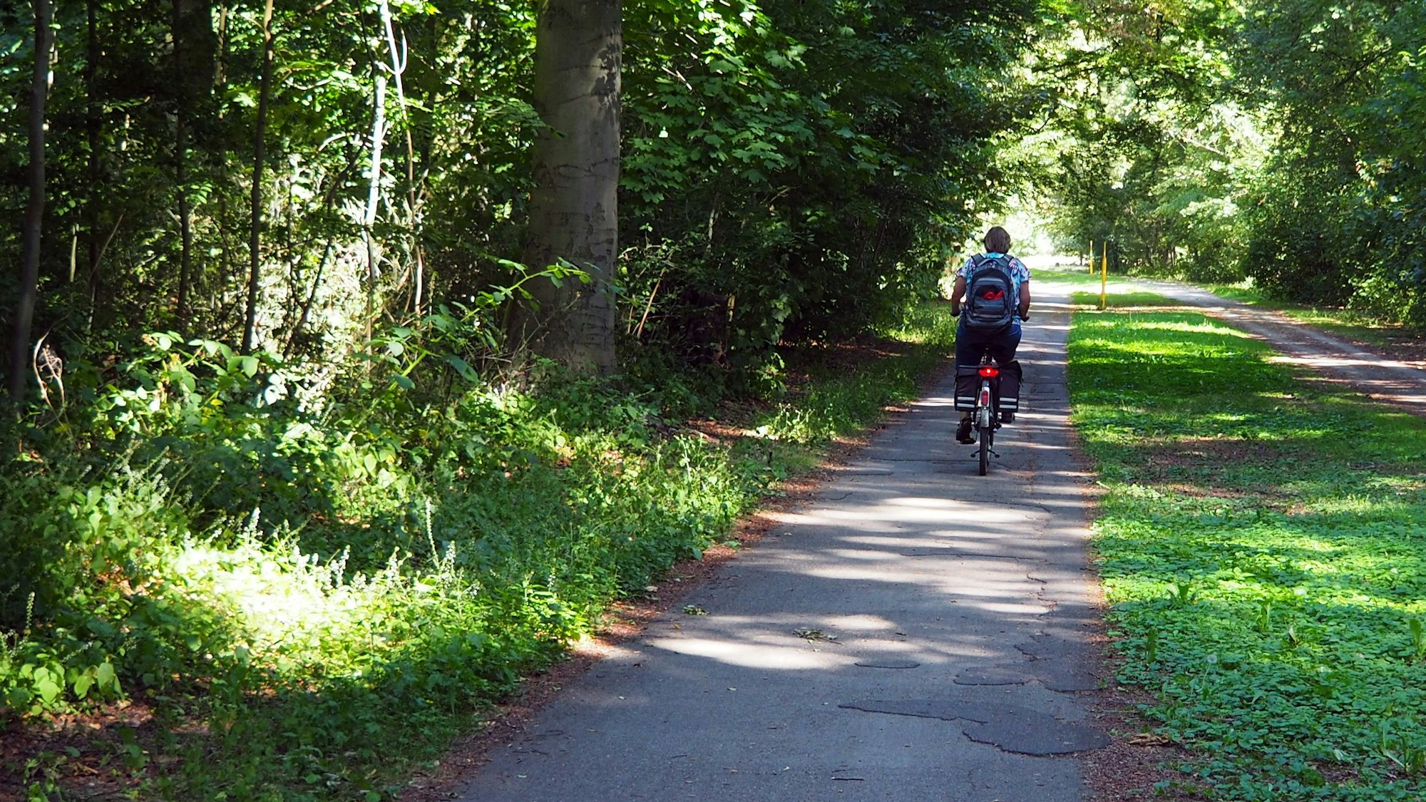 Ein Fahrradfahrer fährt auf einem Stolperweg.
