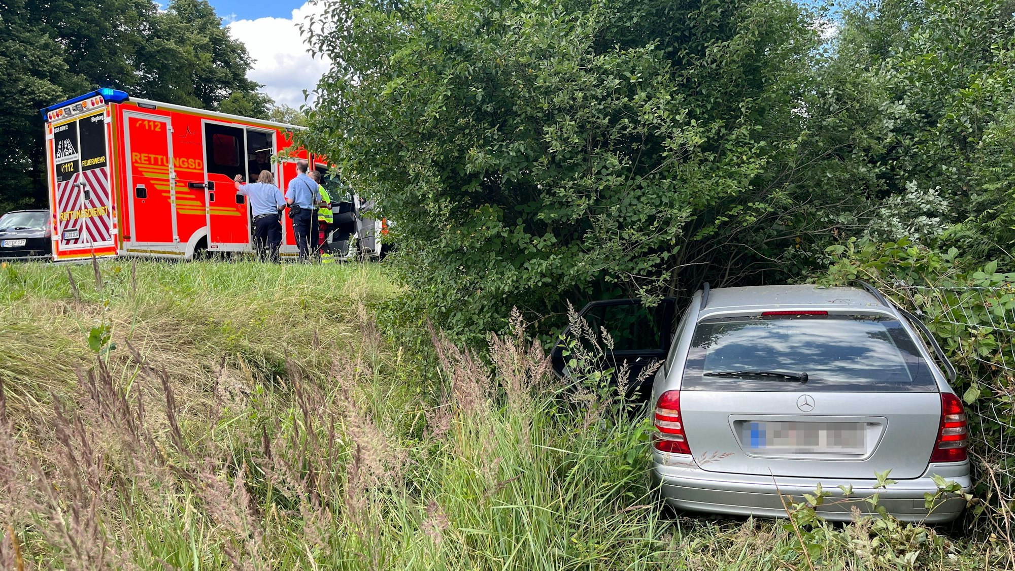 Ein Unfallwagen steht in einem Gebüsch am Straßenrand.