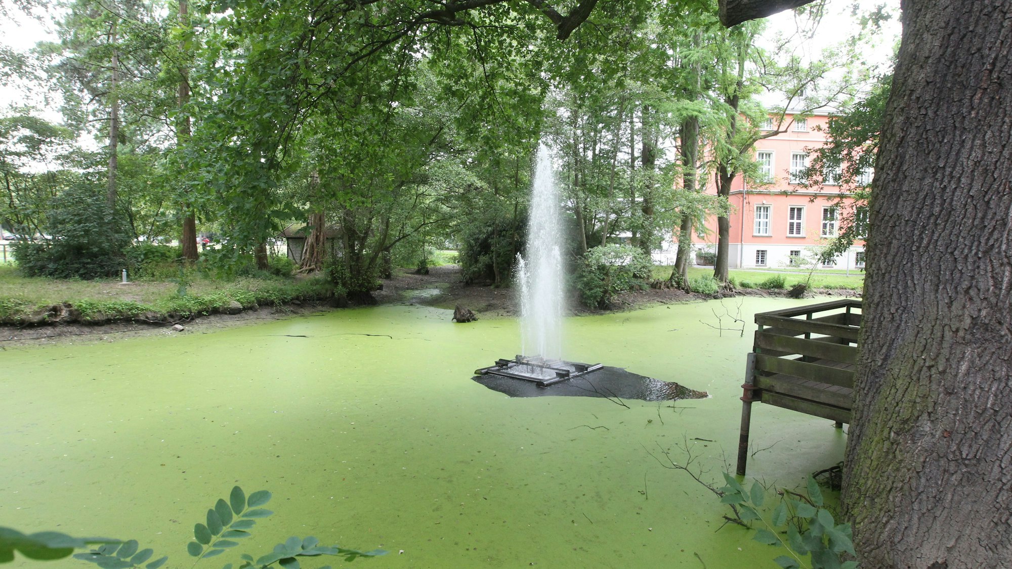 Algen färben die Wasseroberfläche grün, zu sehen sind auch ein Springbrunnen und im Hintergrund ein orangefarbenes Herrenhaus.