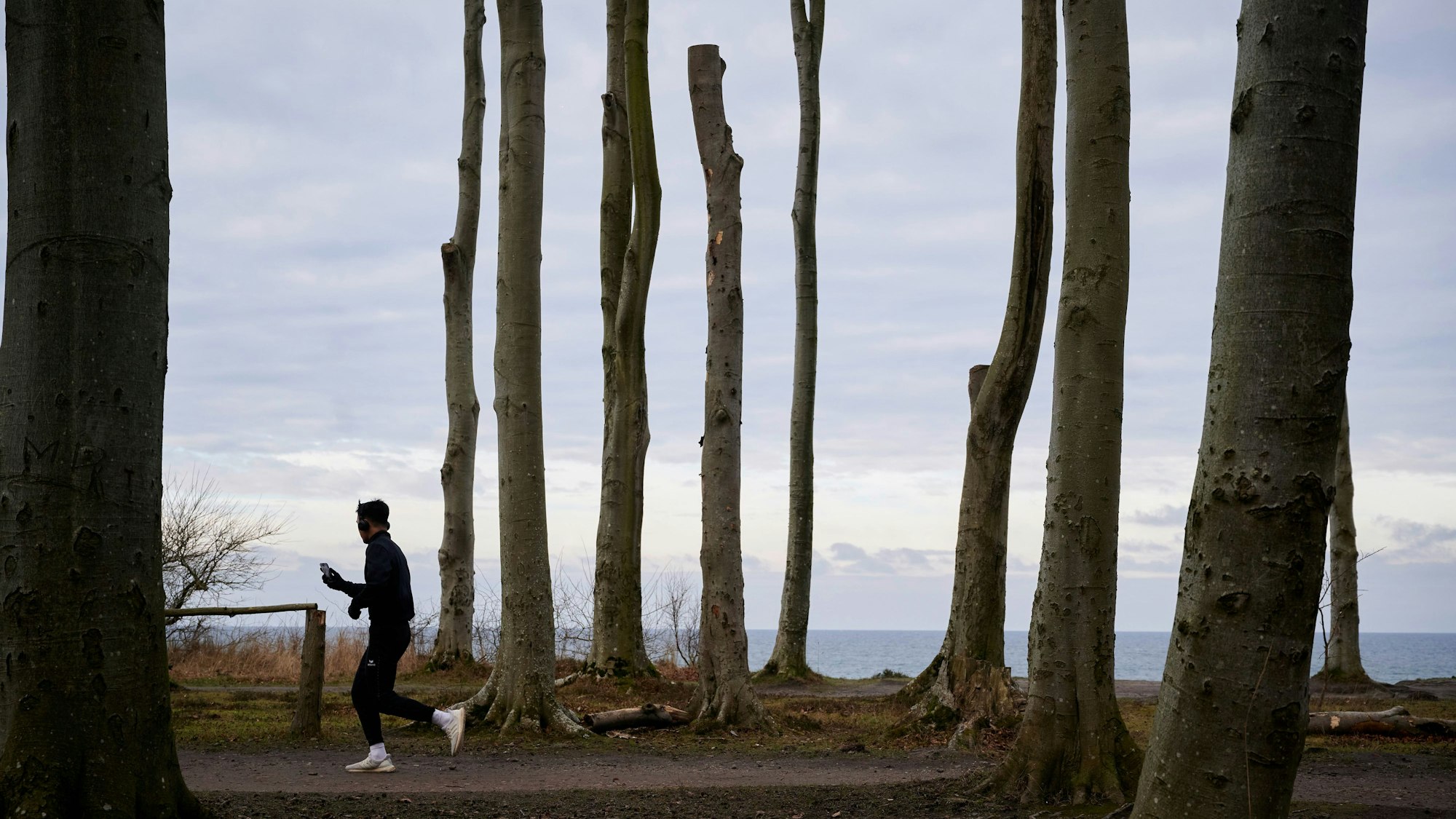 „Der Gespensterwald von Nienhagen“