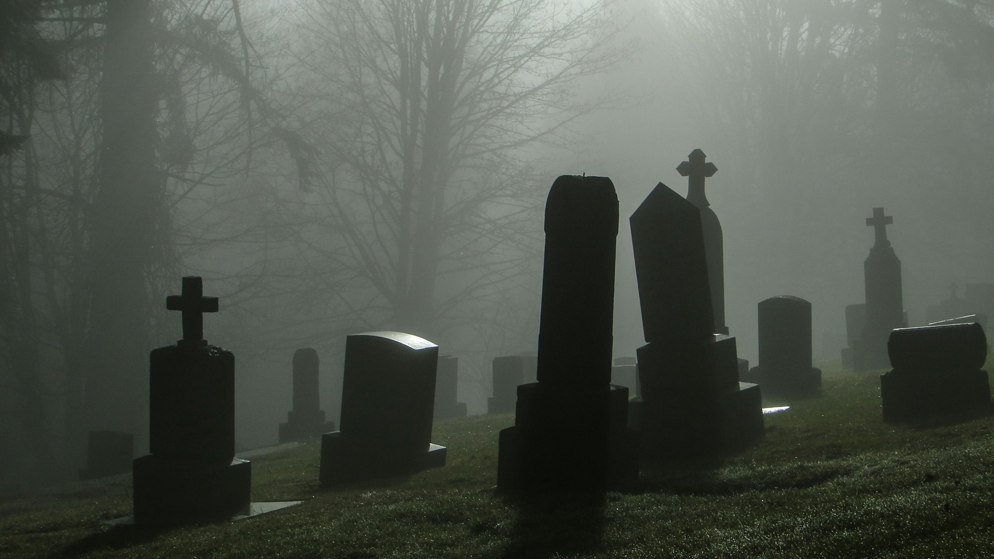 Friedhof im Nebel