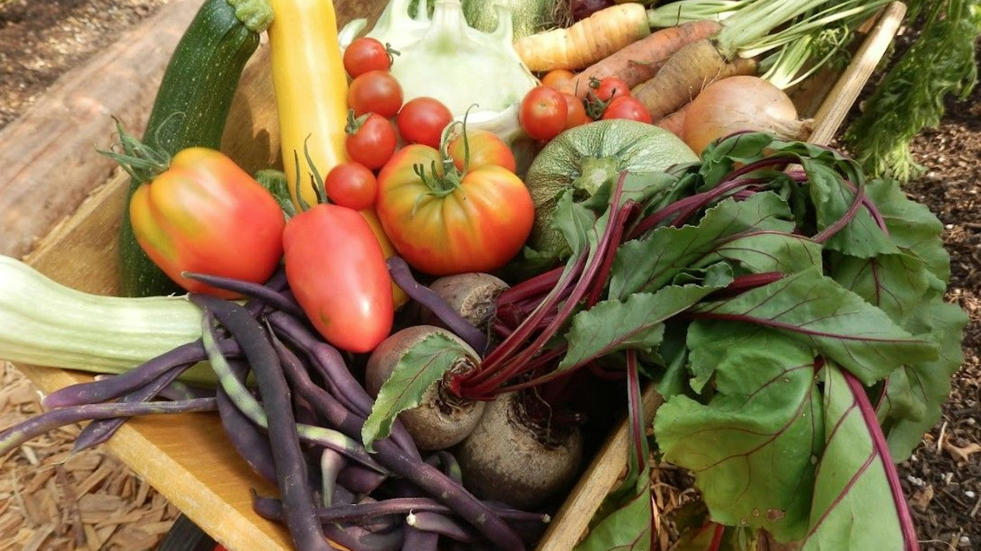 Das Bild zeigt verschiedene Gemüsesorten in einer Holzkiste.