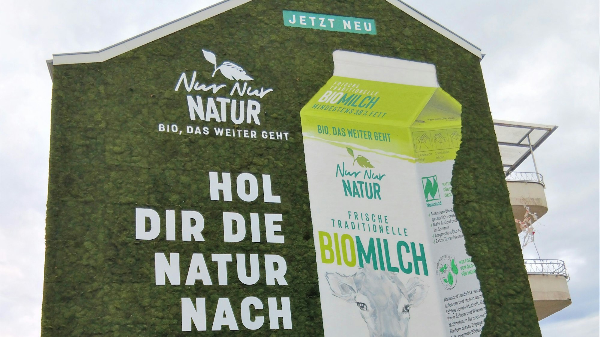 An einer Hausfassade wächst Moos.