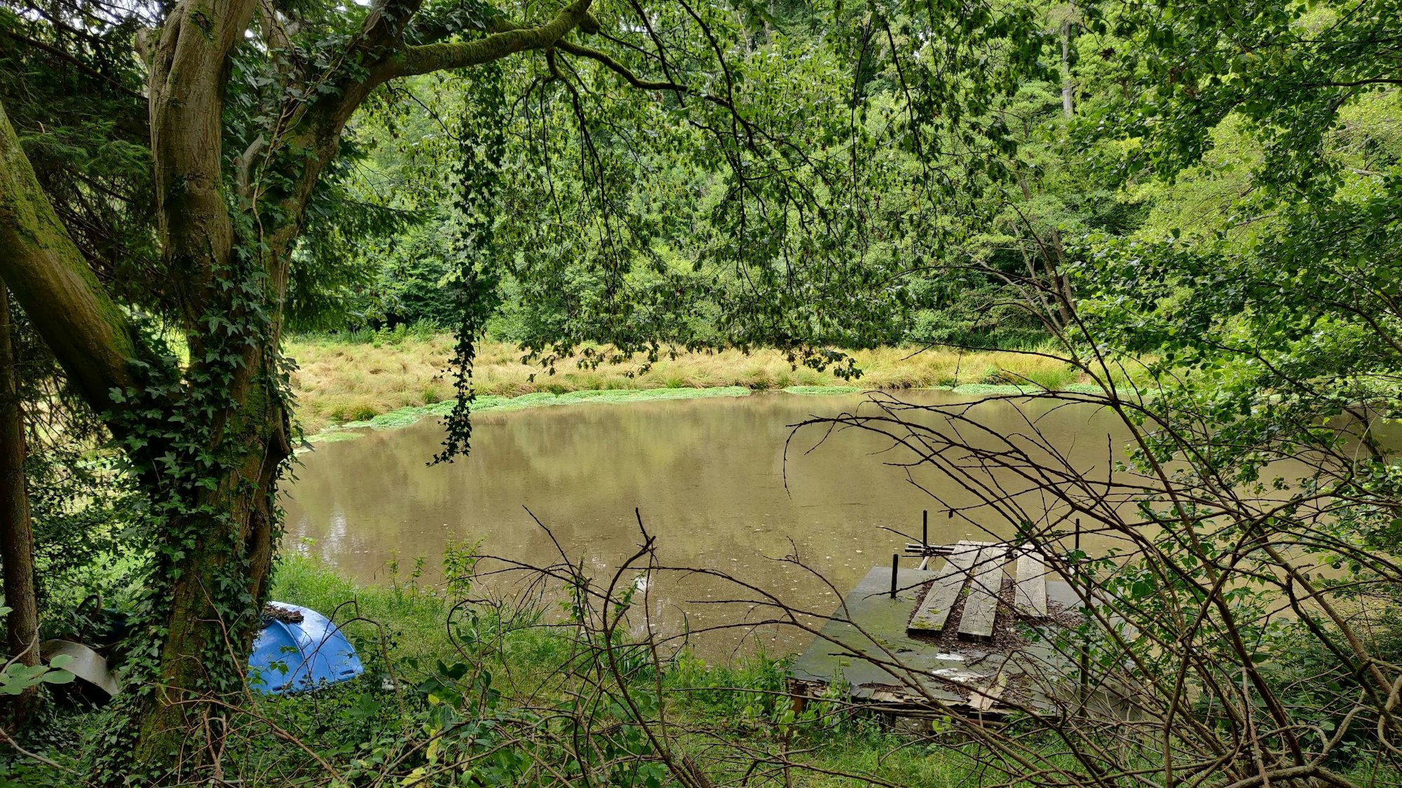 Ein kleiner Wassertümpel mit brüchigem Steg und Boot erinnert an den einstigen See.