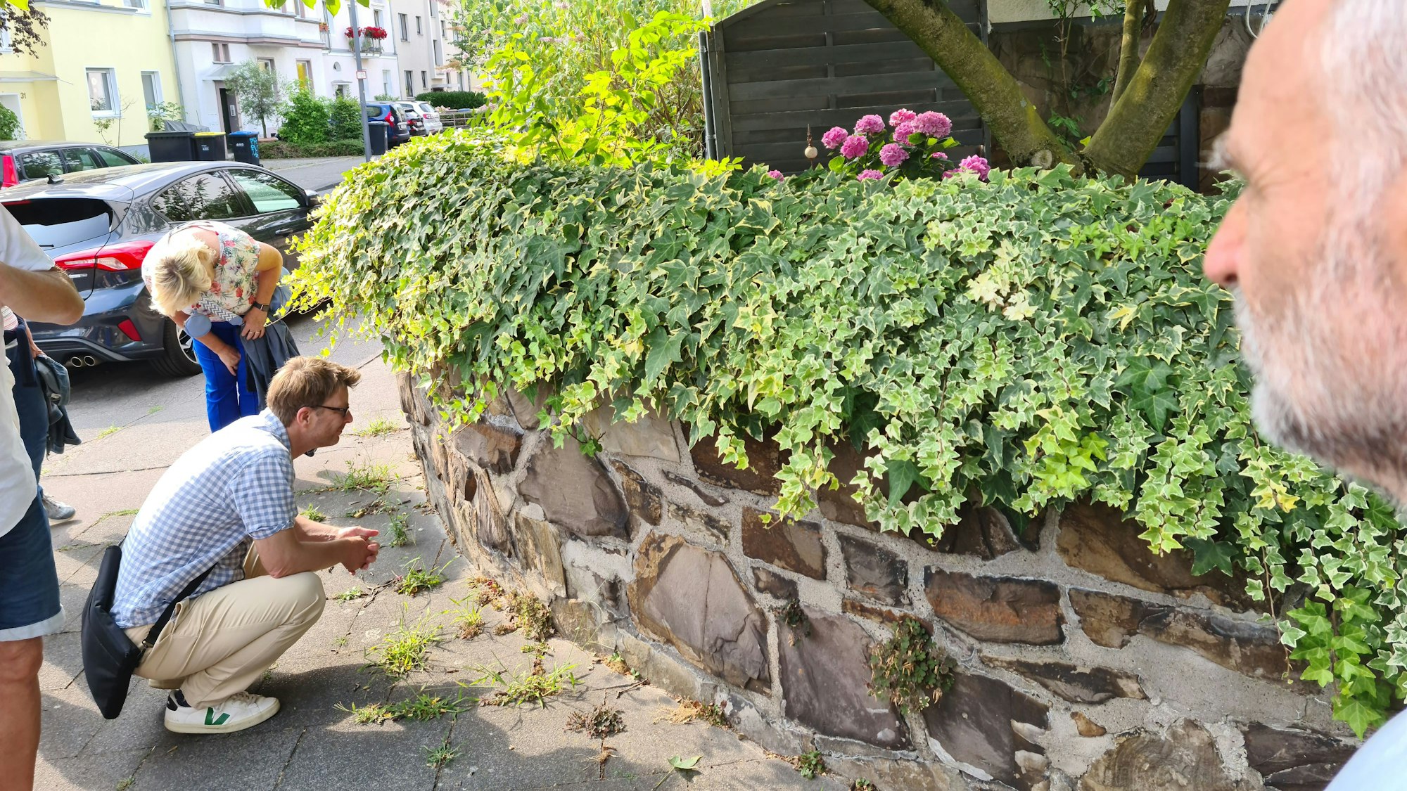 Die Mauer ist mit Blumen bepflanzt.